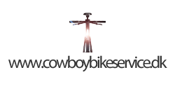 Cowboy E-Bike Service